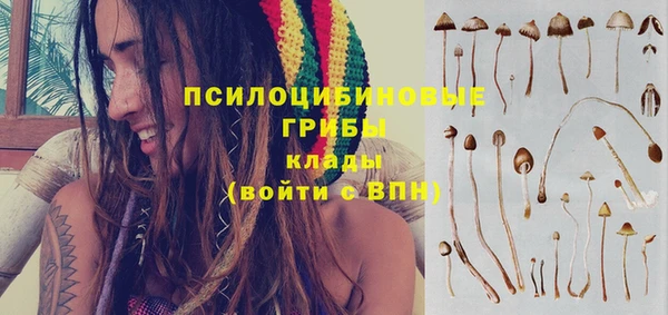 марки lsd Инсар